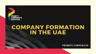 Company Formation in the  DubaI