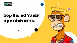 Top Bored Yacht Ape Club NFTs