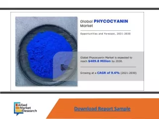 download report sample