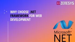 why choose net framework for web development