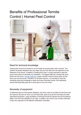 Benefits of Professional Termite Control | Hornet Pest Control