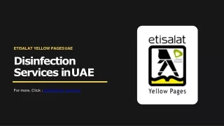 etisalat yellow pages uae