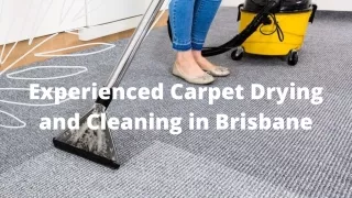 Experienced Carpet Drying and Cleaning in Brisbane