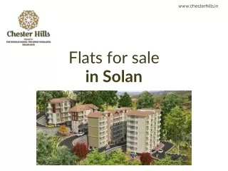 Flats for sale  in Solan