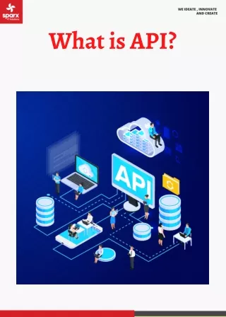 what is api