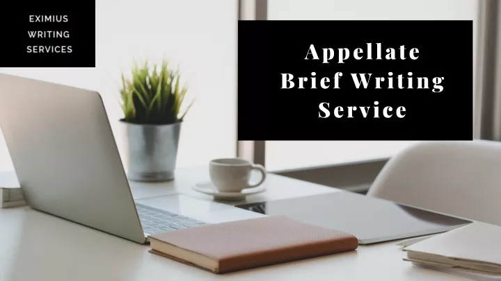 appellate brief writing service