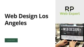Web Design Los Angeles - Ranu Patel Webexpert