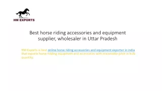 Best horse riding accessories and equipment supplier, wholesaler in Uttar Pradesh
