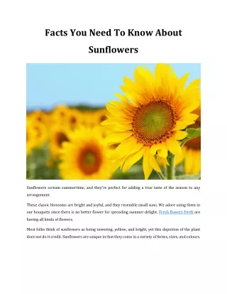 Facts You Need To Know About Sunflowers