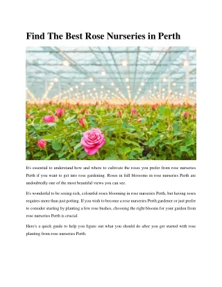 Find The Best Rose Nurseries In Perth