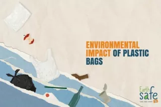 Environmental Impact of Plastic Bags | Plastic Bags Pollution