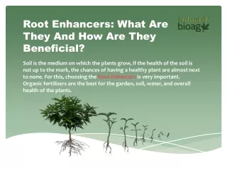 Root Enhancers for Healthy Plant Growth - Indogulf