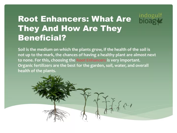 root enhancers what are they and how are they