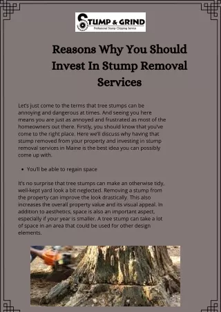 Stump Removal Services In Maine