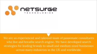 Web Design & Development Services - Netsurge