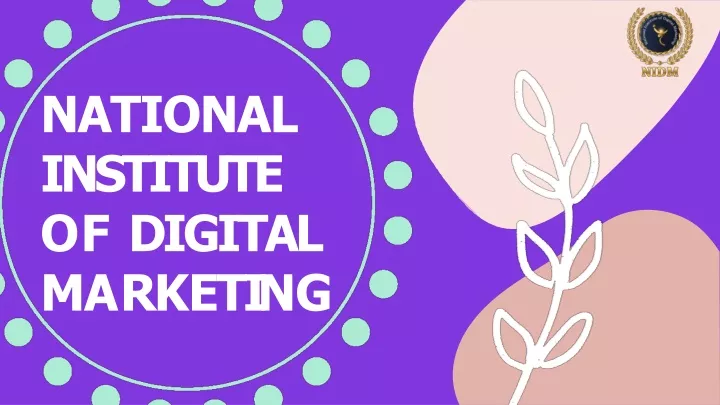 national institute of digital m a r k e t i n g