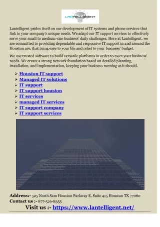 lantelligent prides itself on our development