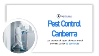 Max Pest Control Canberra - The Professional & Friendly Pest Management Agency