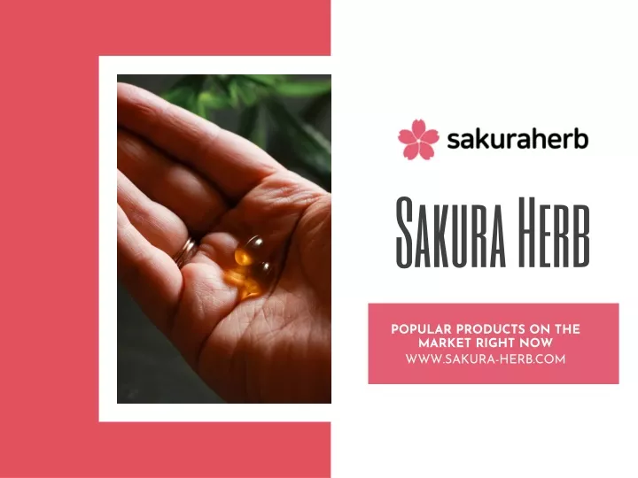 sakura herb