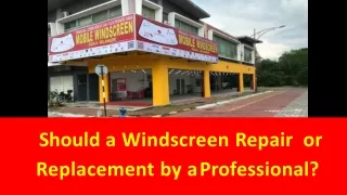 Should a Windscreen be Repair or Replacement by a Professional?