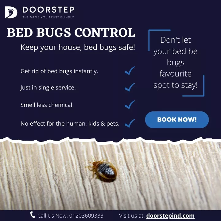 bed bugs control keep your house bed bugs safe