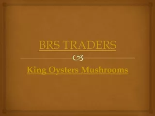 King Oysters Mushrooms | Dealer, Distributor, Wholesale, Exporter, Suppliers