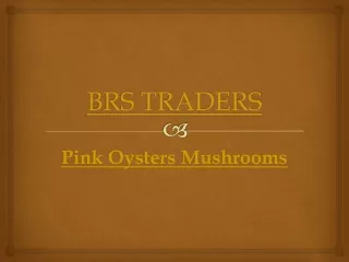 Pink Oysters Mushrooms | Price/Cost in India Call: 9035020041