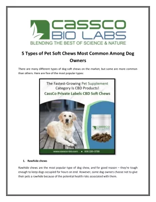 5 Types of Pet Soft Chews Most Common Among Dog Owners