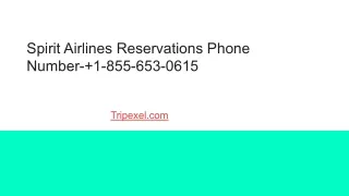 Spirit Airlines Reservations Phone  Number- 1-855-653-0615