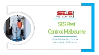 End of Lease Pest Control Melbourne