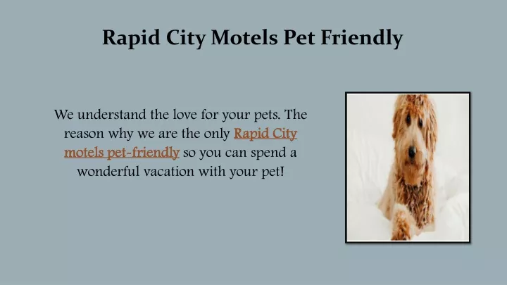 rapid city motels pet friendly