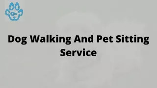 dog walking and pet sitting service