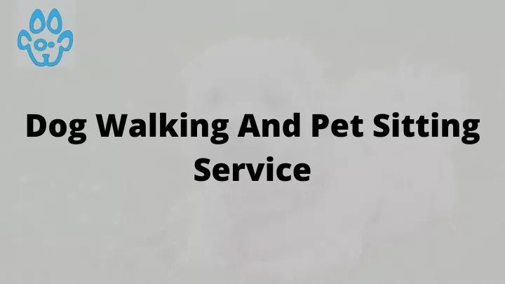 dog walking and pet sitting service