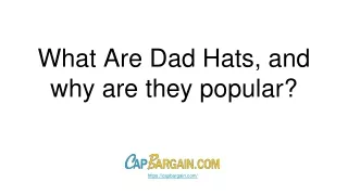 what are dad hats and why are they popular