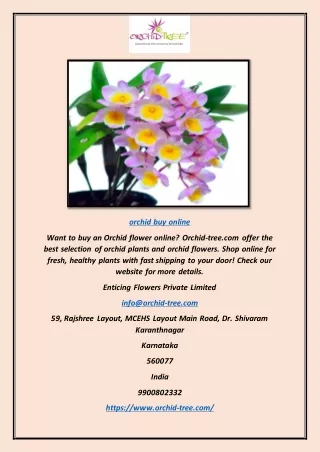 Orchid Buy Online | Orchid-tree.com