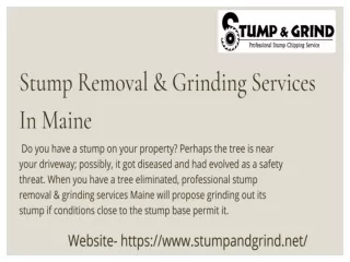 Stump Removal & Grinding Services In Maine