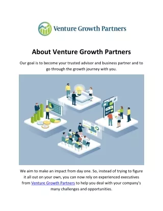 Venture Growth Partners | Cfo Service in NYC