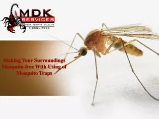 making your surroundings mosquito free with using of mosquito traps