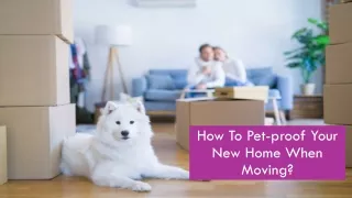 How To Pet-proof Your New Home When Moving