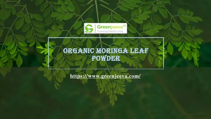 organic moringa leaf organic moringa leaf powder