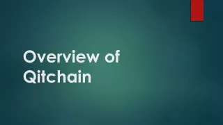 overview of qitchain