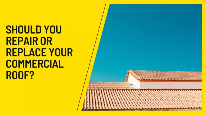 should you repair or replace your commercial roof