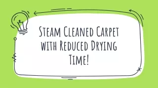 Steam Cleaned Carpet with Reduced Drying Time!