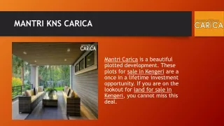 mantri kns carica