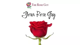 Best Place To Buy Roses Online In Ecuador | Your Rose Guy