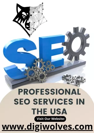 Professional SEO Services In The USA | Top SEO Agency | Digiwolves