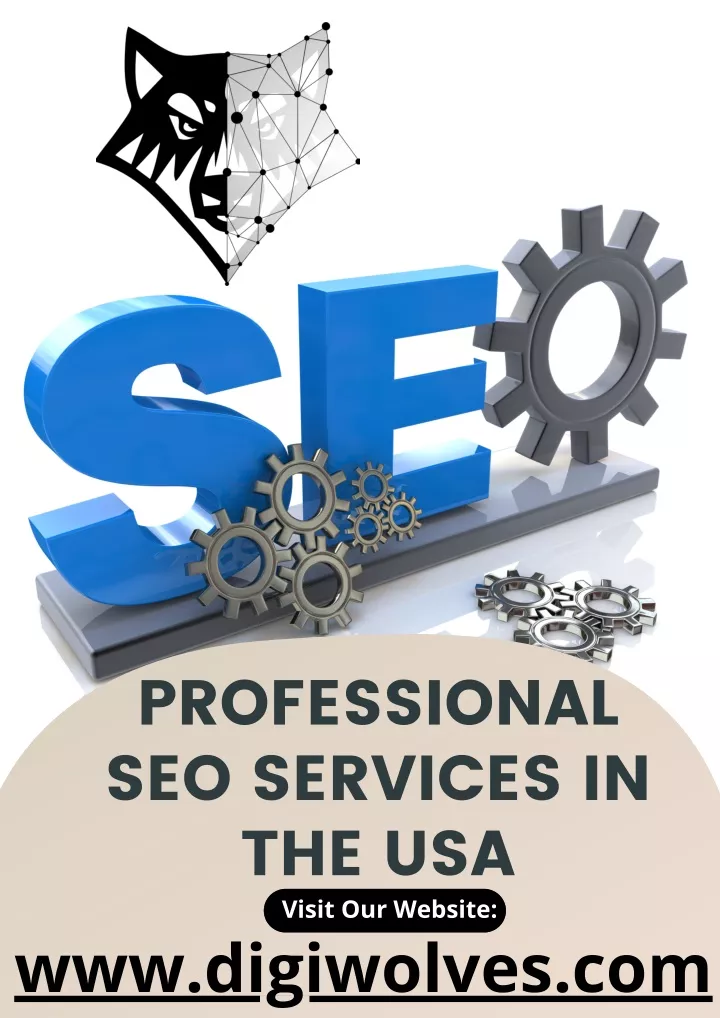 professional seo services in the usa visit