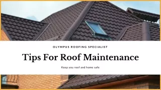 Tips For Roof Maintenance