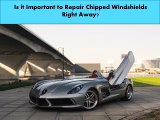 Is it Important to Repair Chipped Windshields Right Away