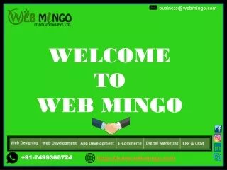 Best Website Designing and Digital Marketing Company- Web Mingo